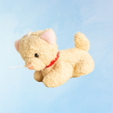 charmant - chaton beige