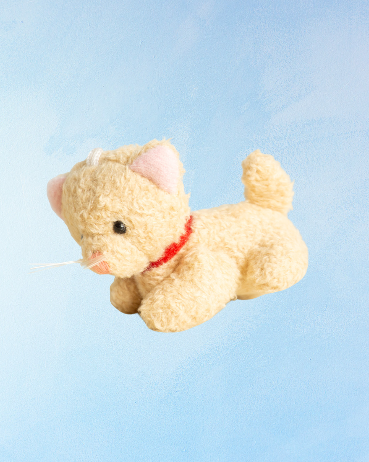 charm - beige kitten