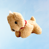 charme - chiot beige