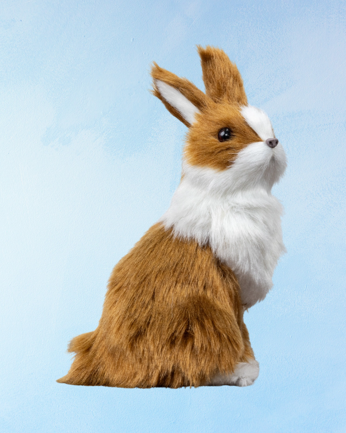 bunny - assorted styles