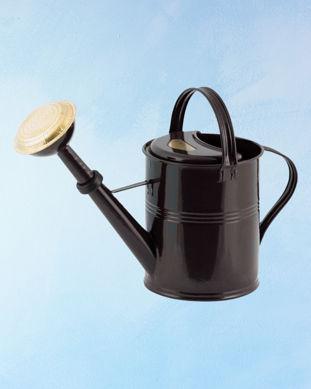 watering can - 5L (assorted colours)