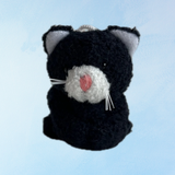 chaton noir et blanc - charme
