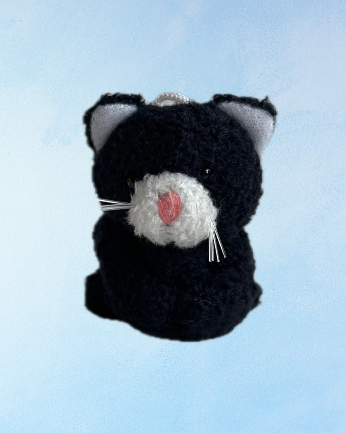 charm - black and white kitten