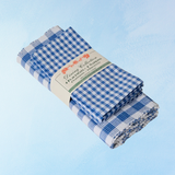 placemat and napkin set - blue buffalo check