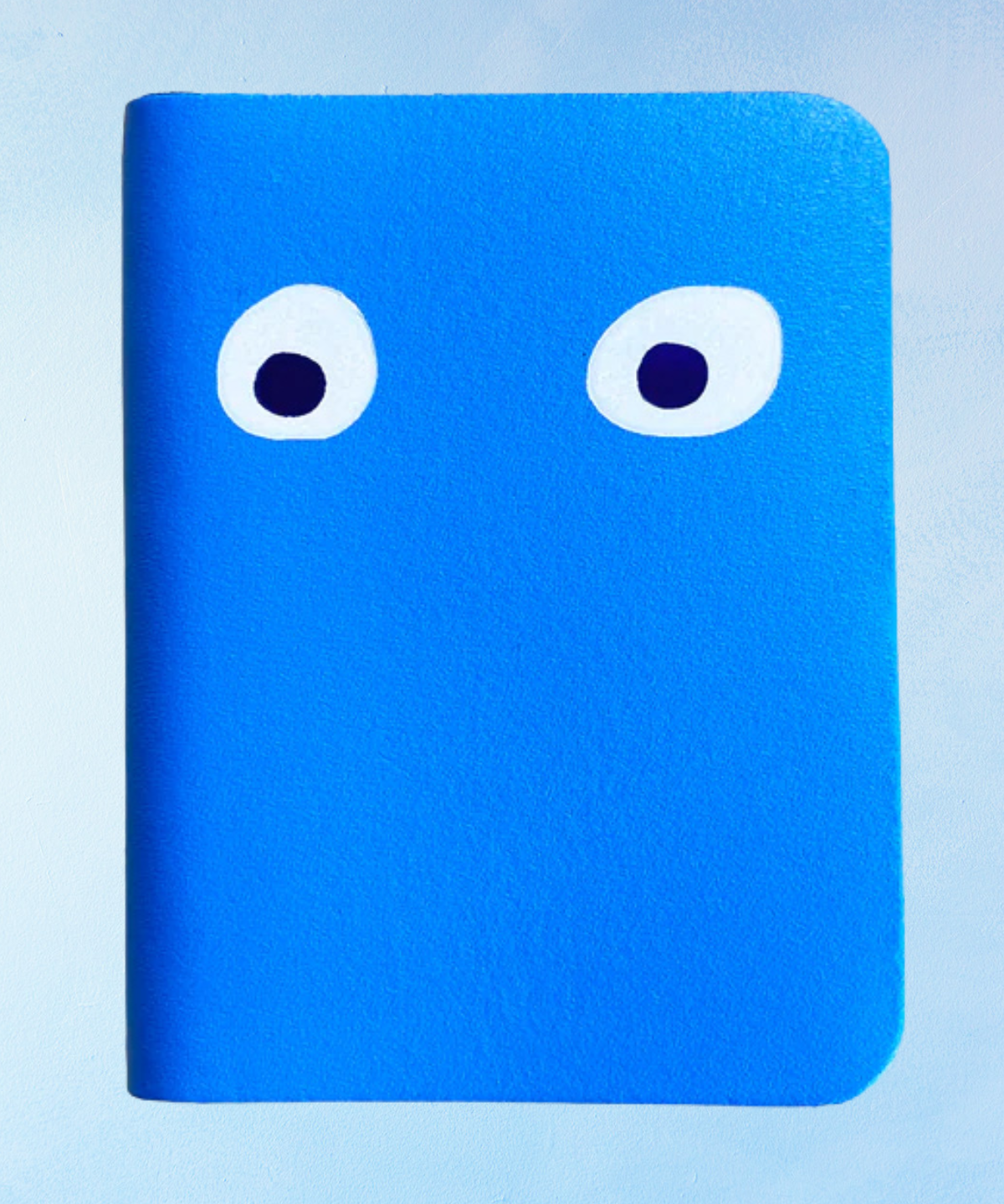 mini-journal - yeux mobiles (couleurs assorties)