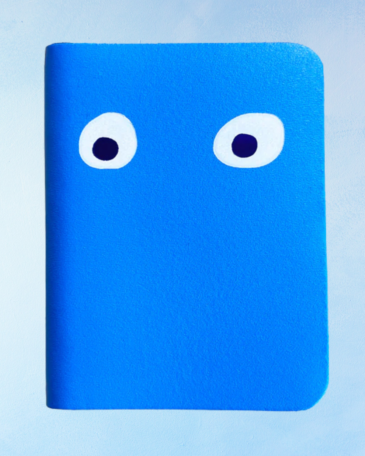 mini journal - googly eye (assorted colours)