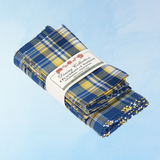 placemat and napkin set - stone blue plaid