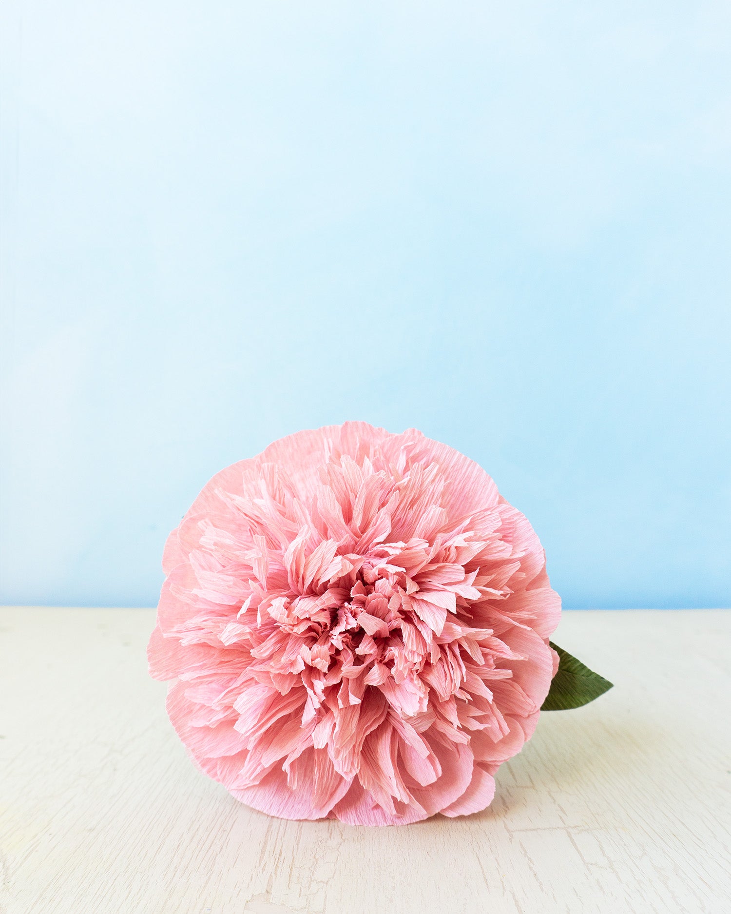 handmade paper flower - blush peony