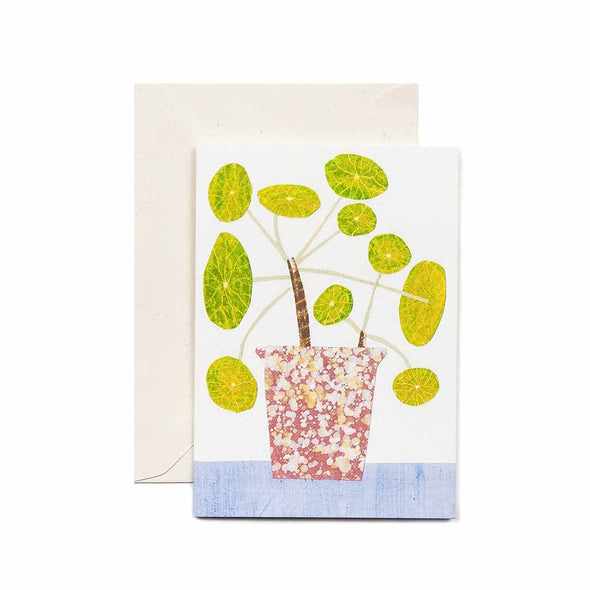 greeting card - bobble plant