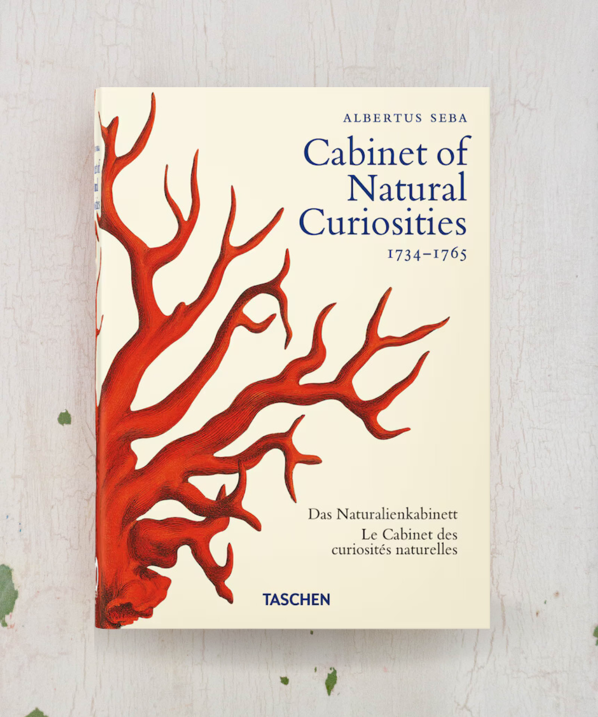 Hardcover copy of Cabinet of Natural Curiosities