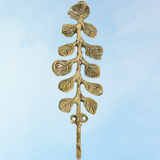 patère - bea botanical