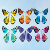 greeting card - magic butterfly