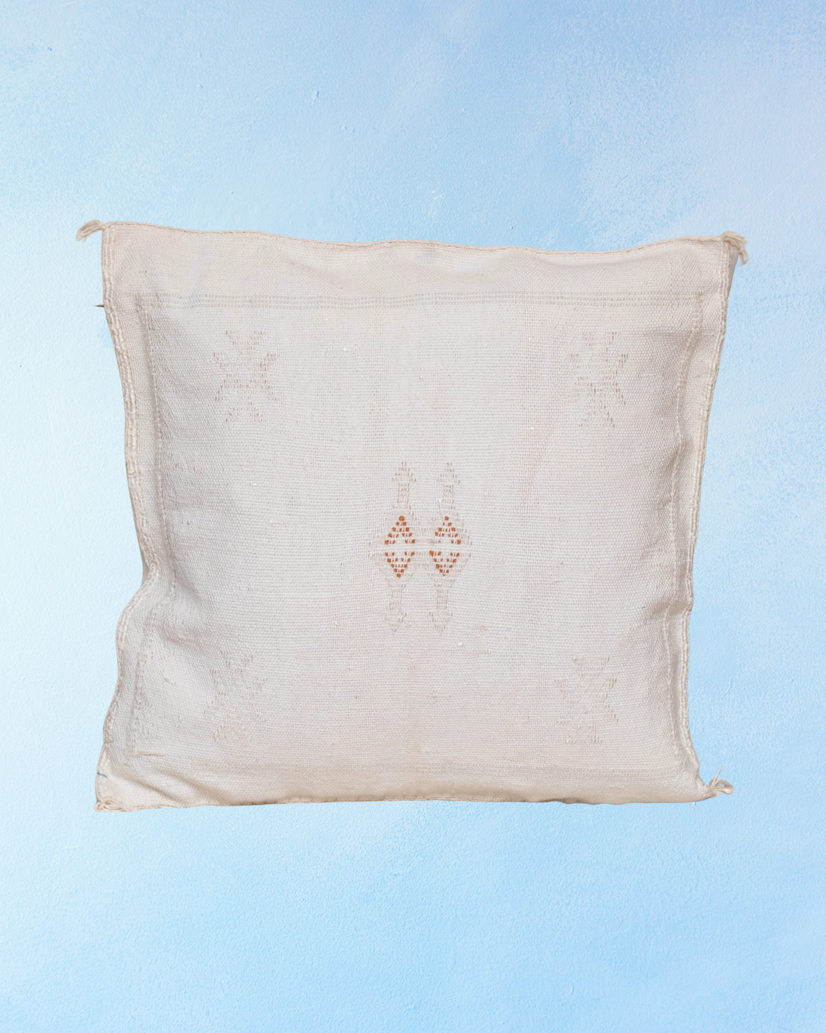 cushion - cactus silk