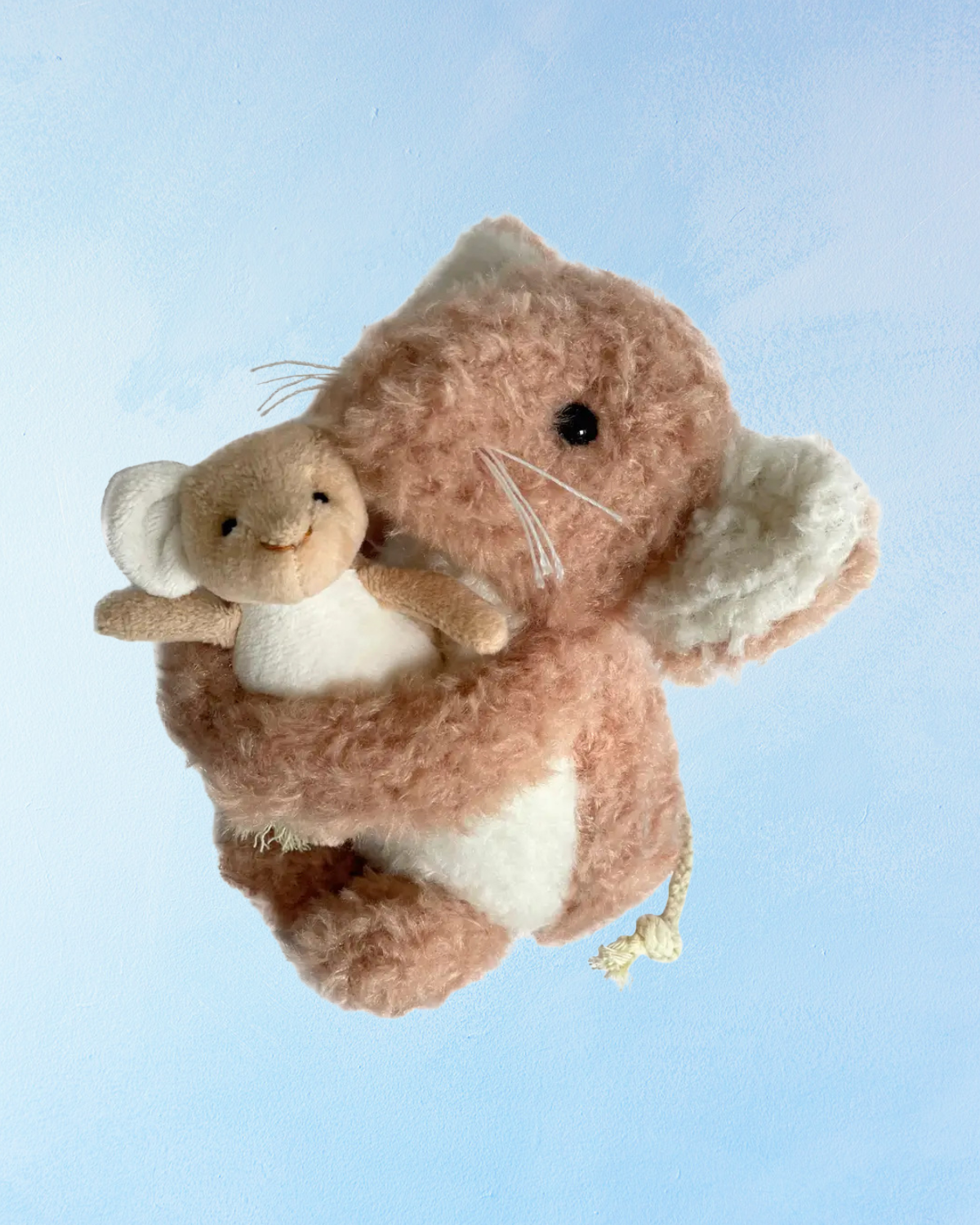 Image de diapositive