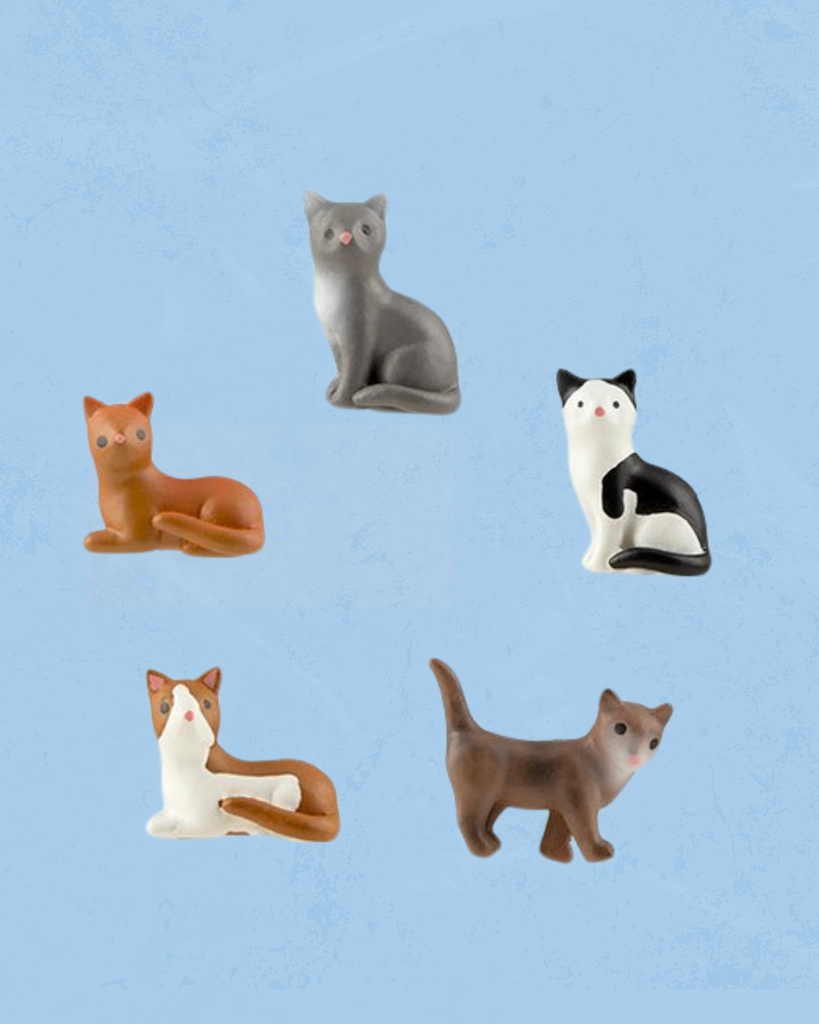 cat magnets