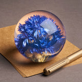 paperweight - cornflower (multiple sizes)