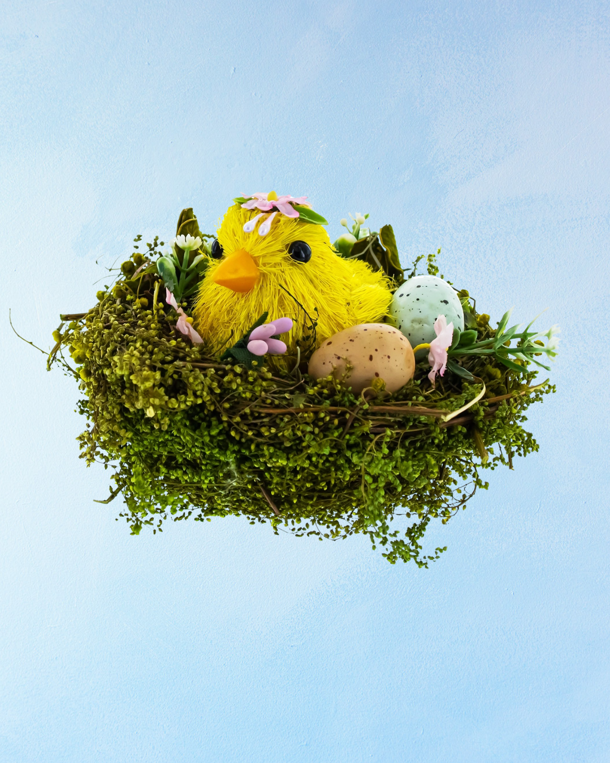 spring chick in a nest