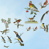 book - collage the botanical world