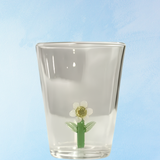 glassware - tumbler: daisy