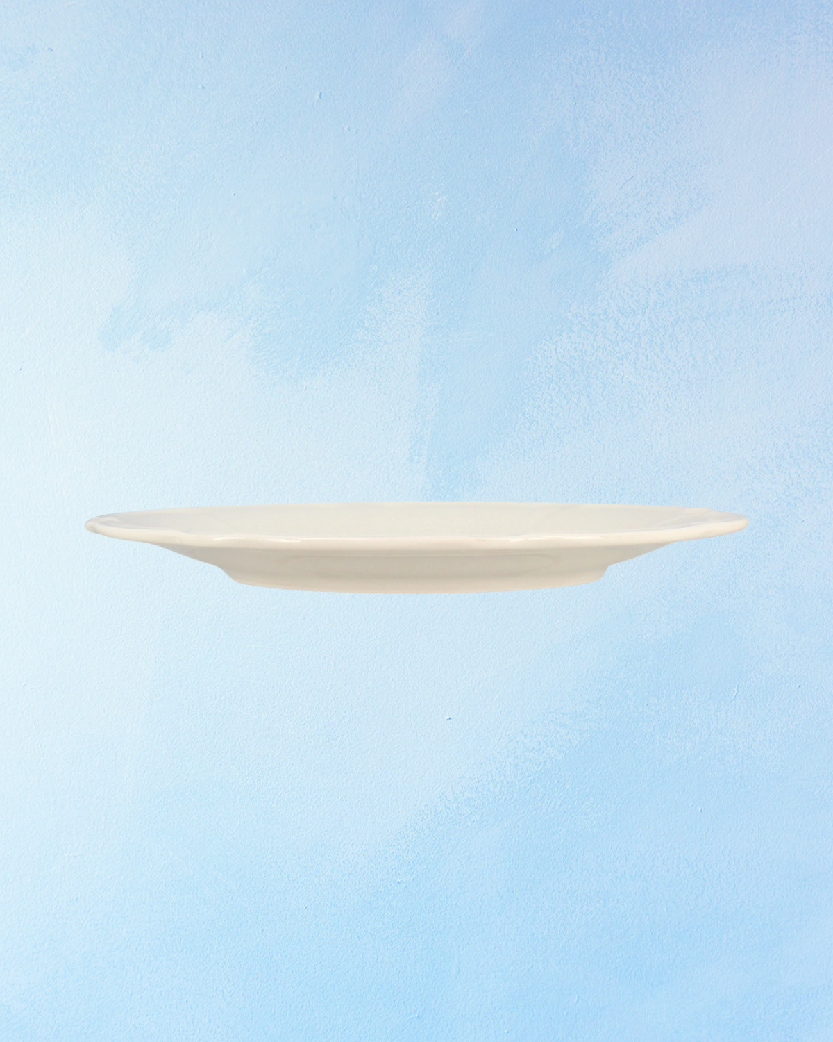 dinnerware - charlotte stoneware - dinner plate