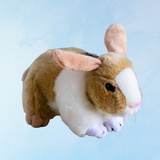 stuffed toy - tortoise dutch rabbit