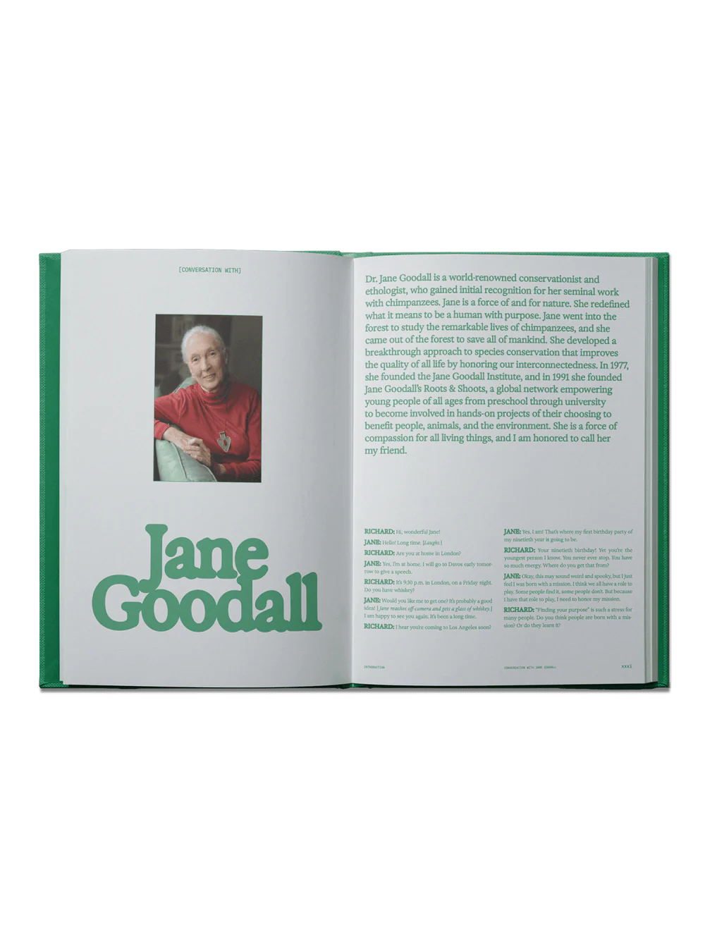 book - flamingo estate the guide to becoming alive