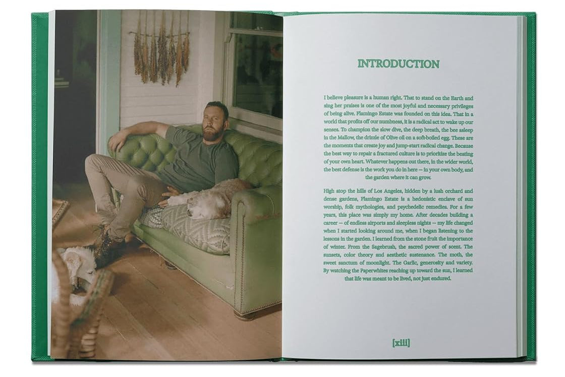 book - flamingo estate the guide to becoming alive