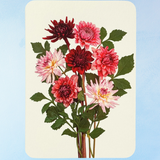 greeting card - garden dahlias