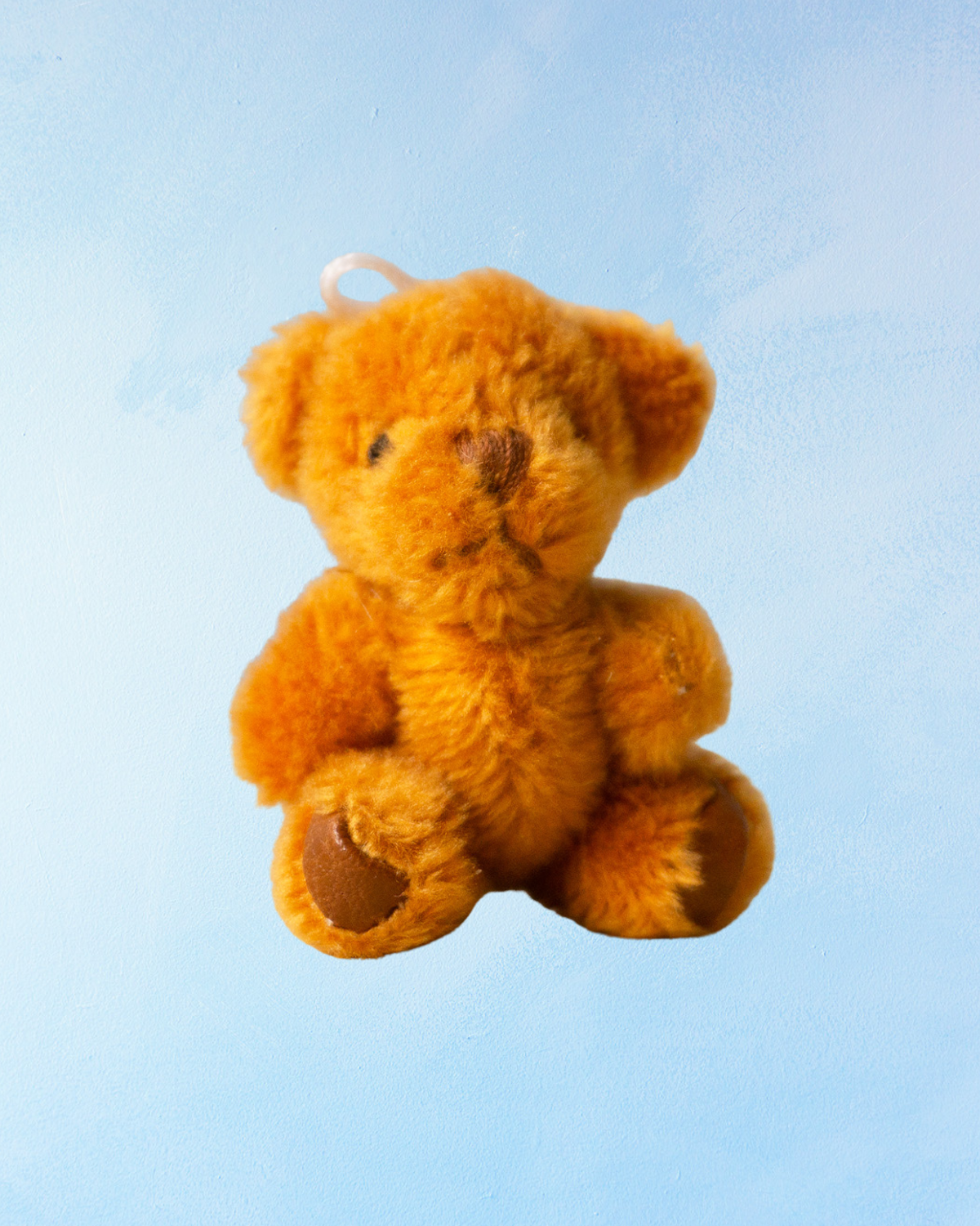 charm - ginger teddy