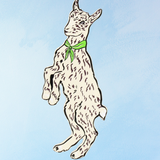 signet - chèvre
