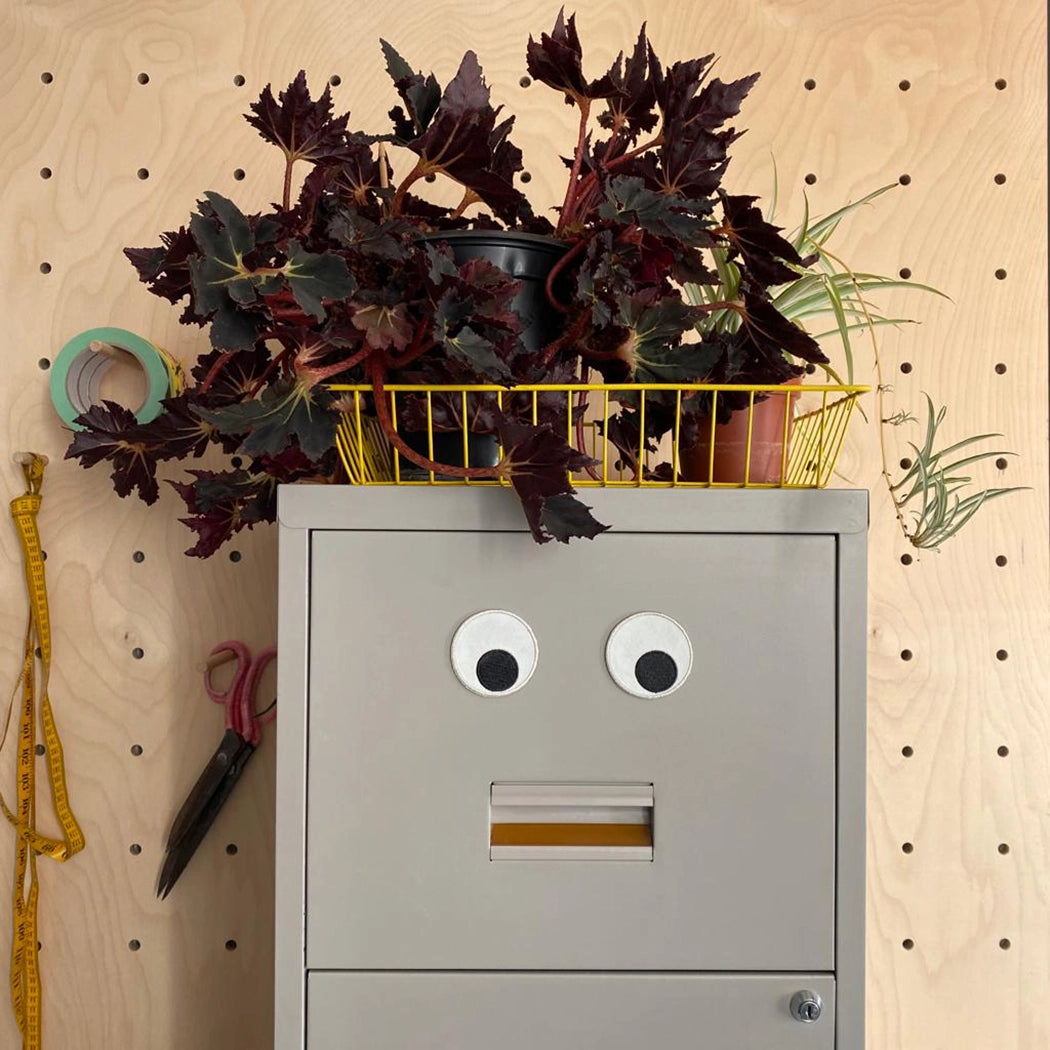 magnets - set of googly eyes