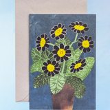greeting card - black auricula flowers