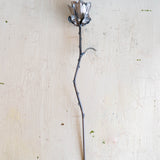Steel Rose