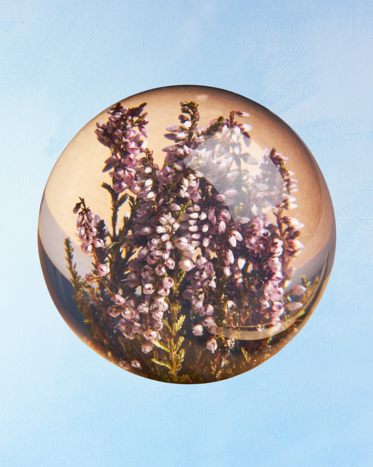 paperweight - heather