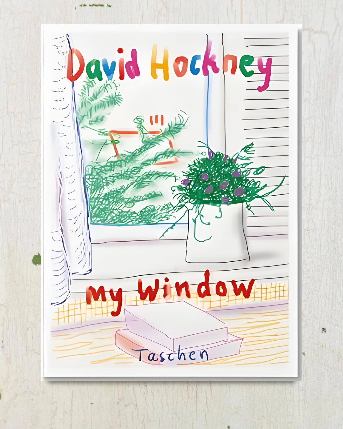 book - david hockney my window