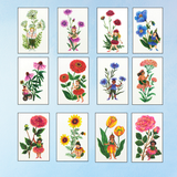 greeting card - flower fairies (set of 12)