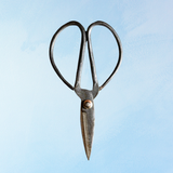 scissors - small iron