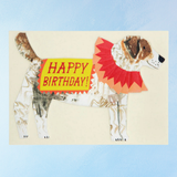 greeting card - birthday jack russell terrier