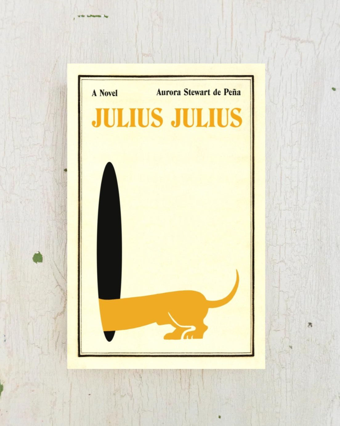 book - julius julius