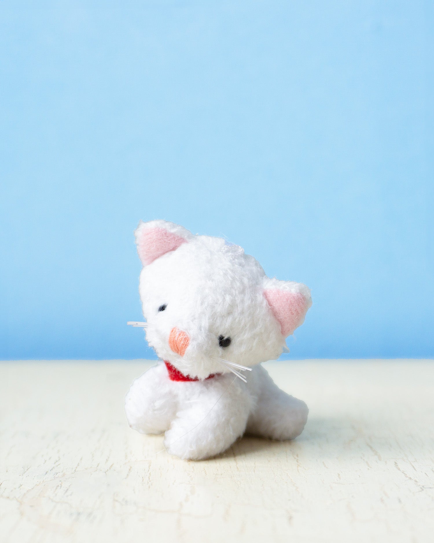 small charm - white kitten