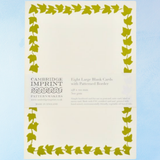 blank cards - with patterned border (set of 8)