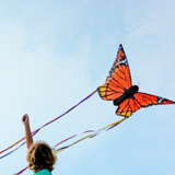 toy - butterfly kite - monarch