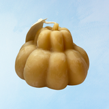 candle - beeswax pumpkins (multiple styles)