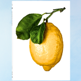 livre - le citron du gourmet