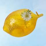 bud vase - lemon