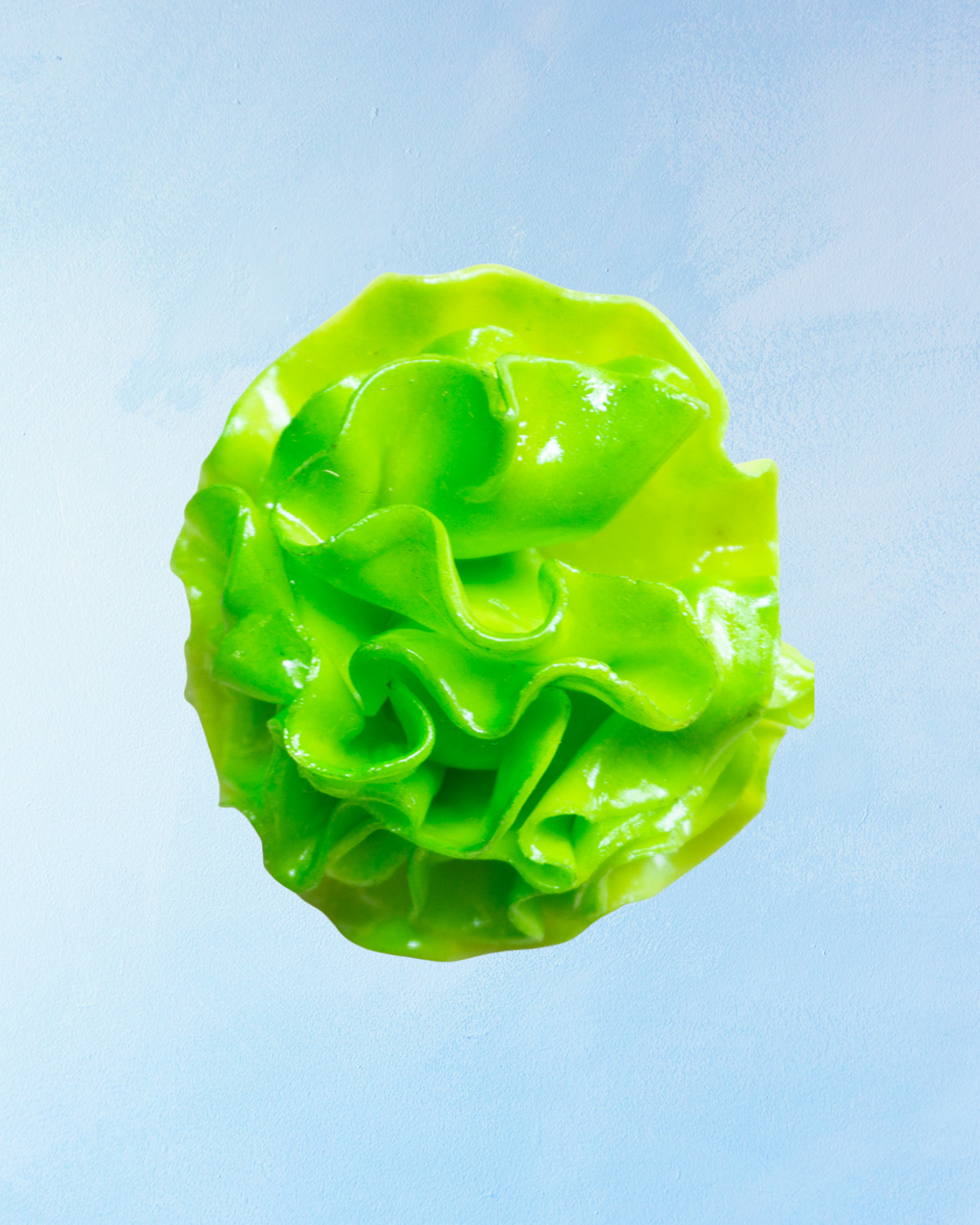 magnet - lettuce