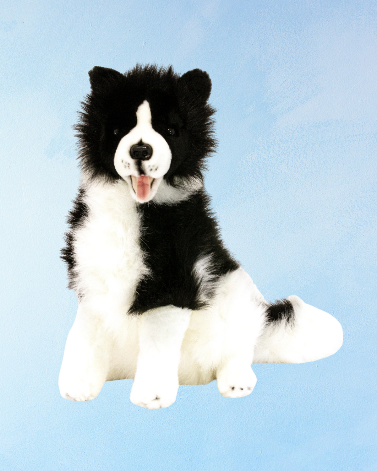 stuffed animal - "tommy" border collie
