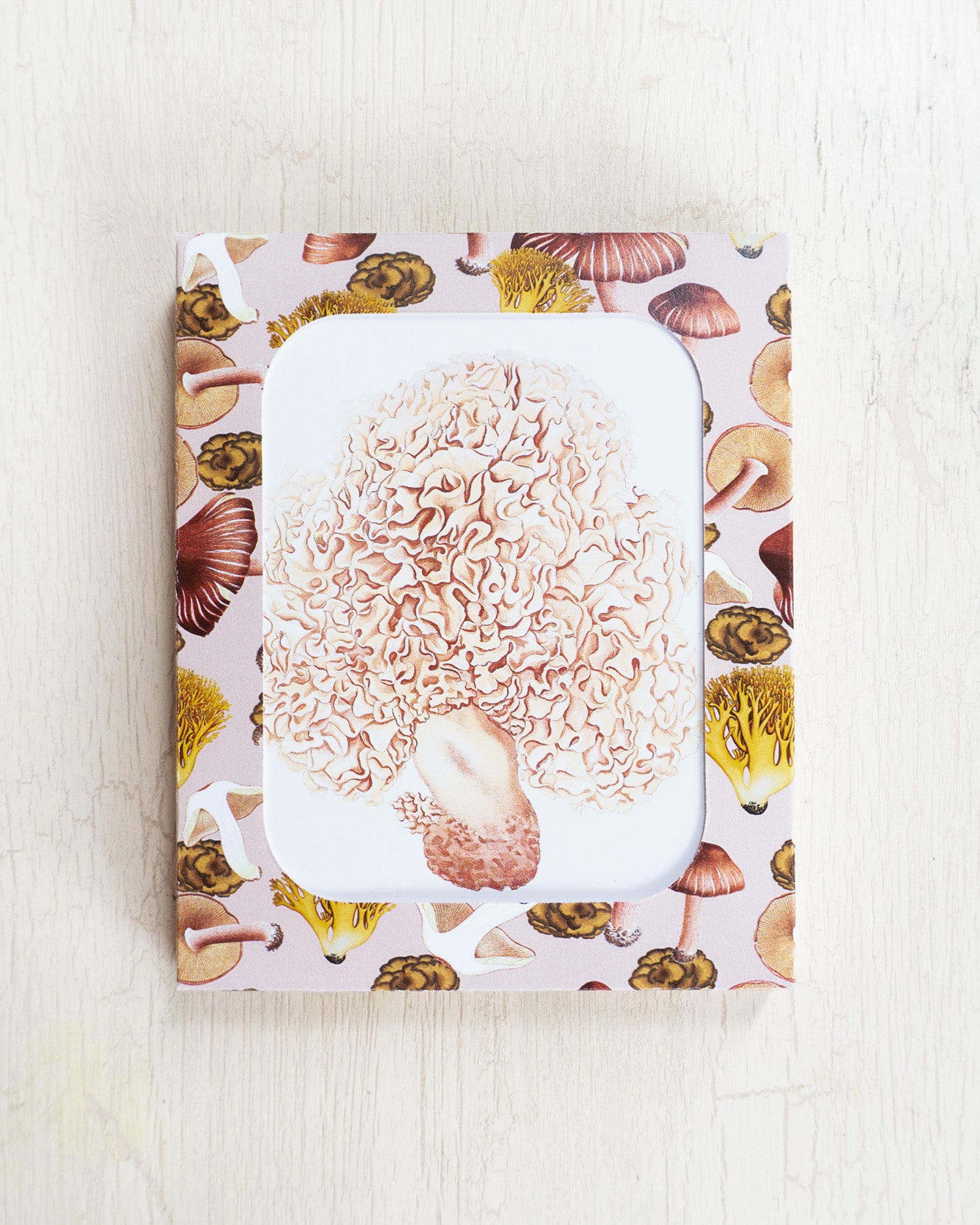 greeting card - mushrooms (8 pack)
