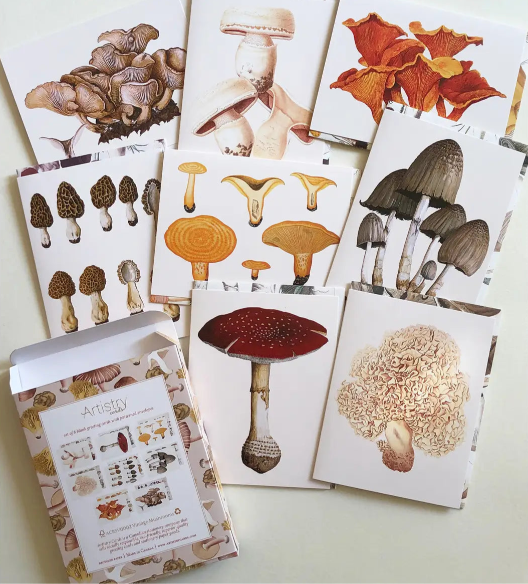 greeting card - mushrooms (8 pack)
