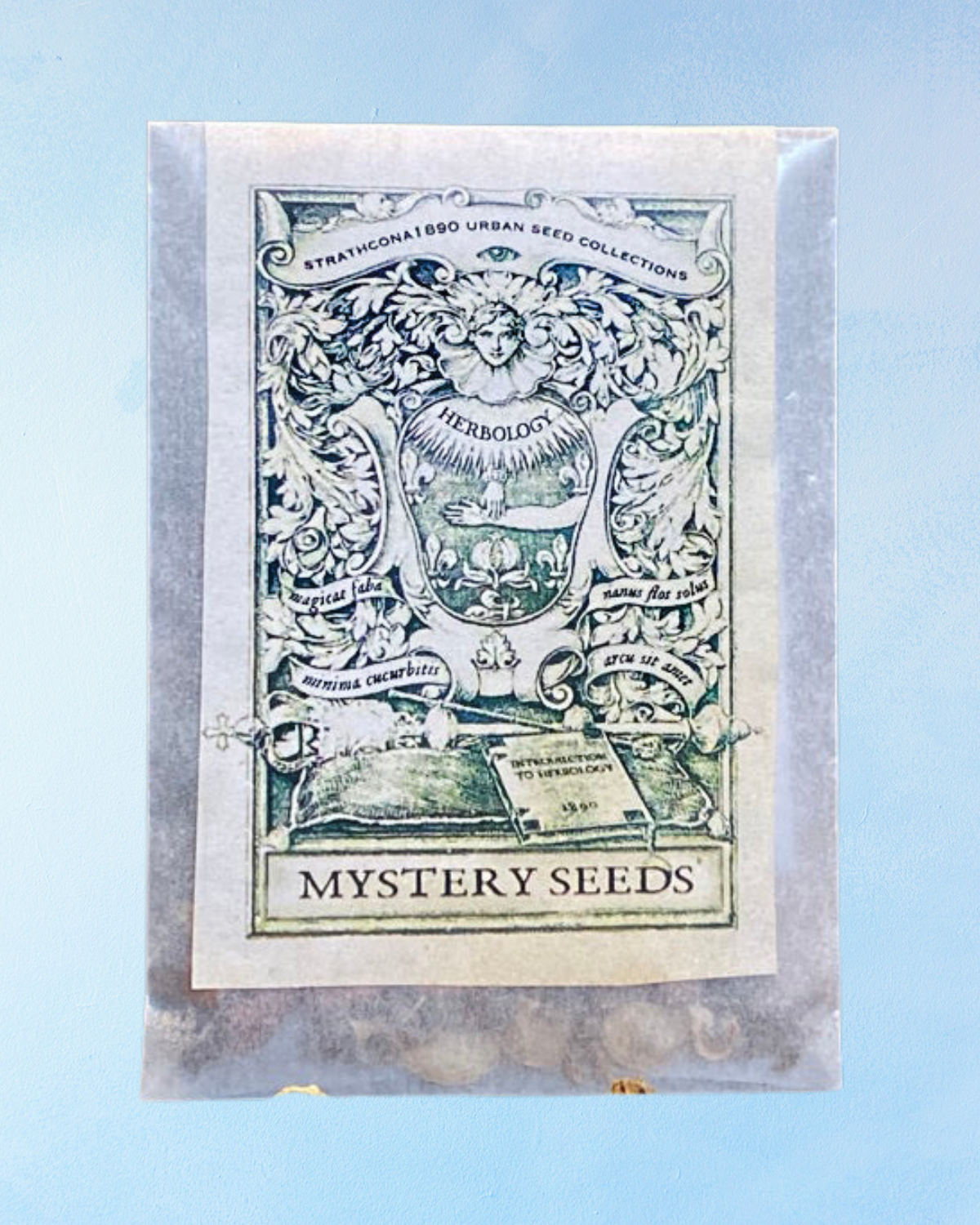 seed mix - mystery mix